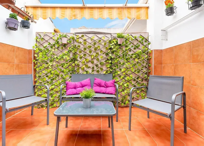 Holidays2Malaga Carril Penthouse Terrace